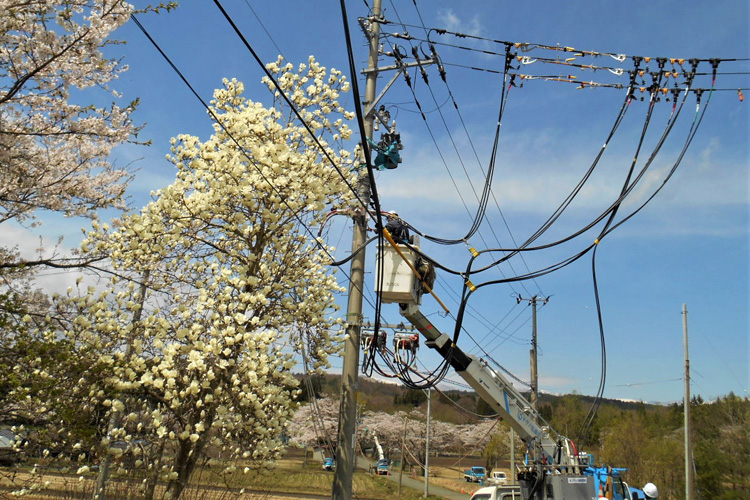 岩手県雫石町の電気工事・電力設備工事 テクノ電通株式会社/配電工事